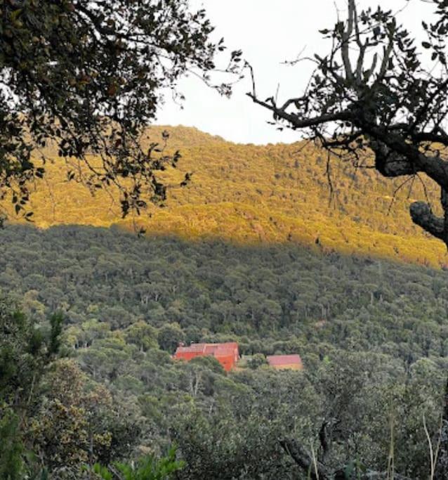 Masia Can Castellar Sant Iscle De Vallalta Esterno foto